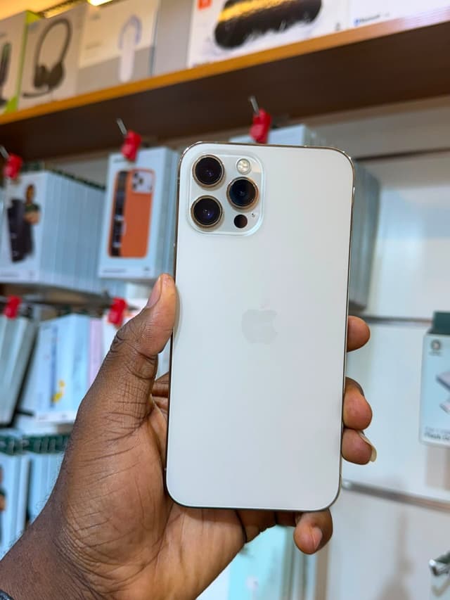 12 Pro Max (face ID active)